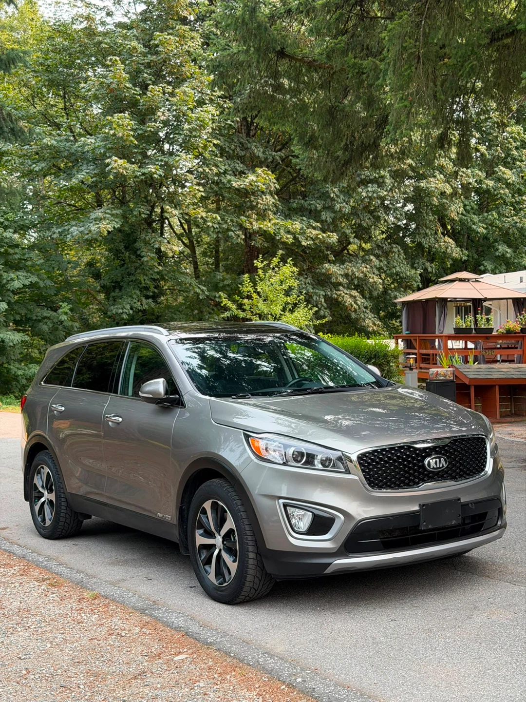 2017 Kia Sorento - photo 3
