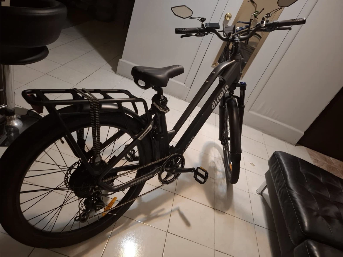 Dirwin Electric Bike with Phone Mount and Mirror