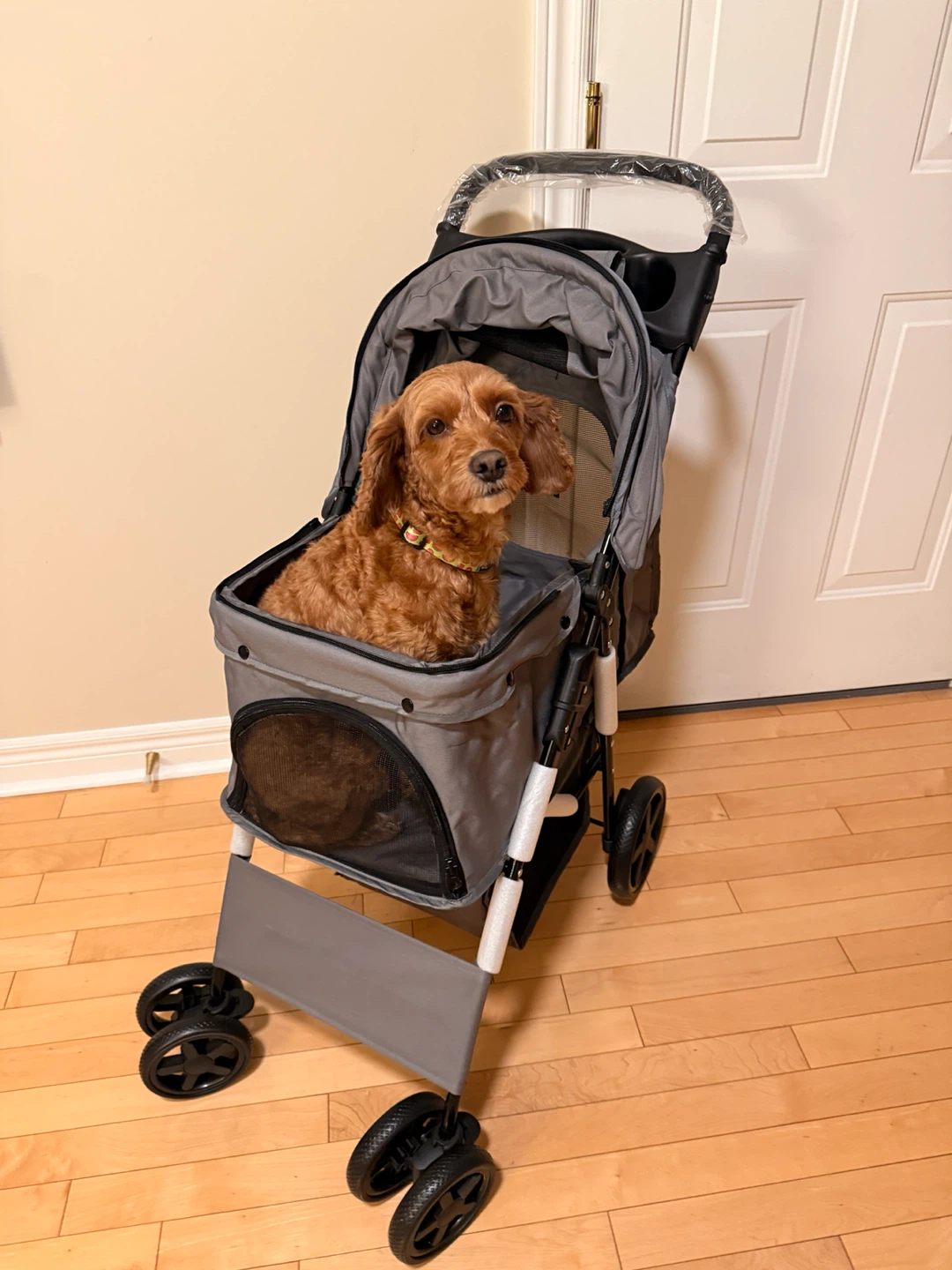 Grey Pet Stroller (dog not included)