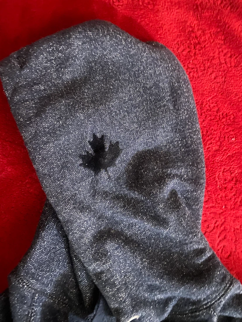Roots Canada Hoodie - photo 4