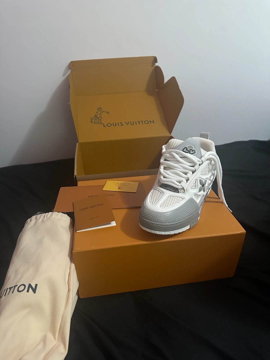 Louis Vuitton Sneakers