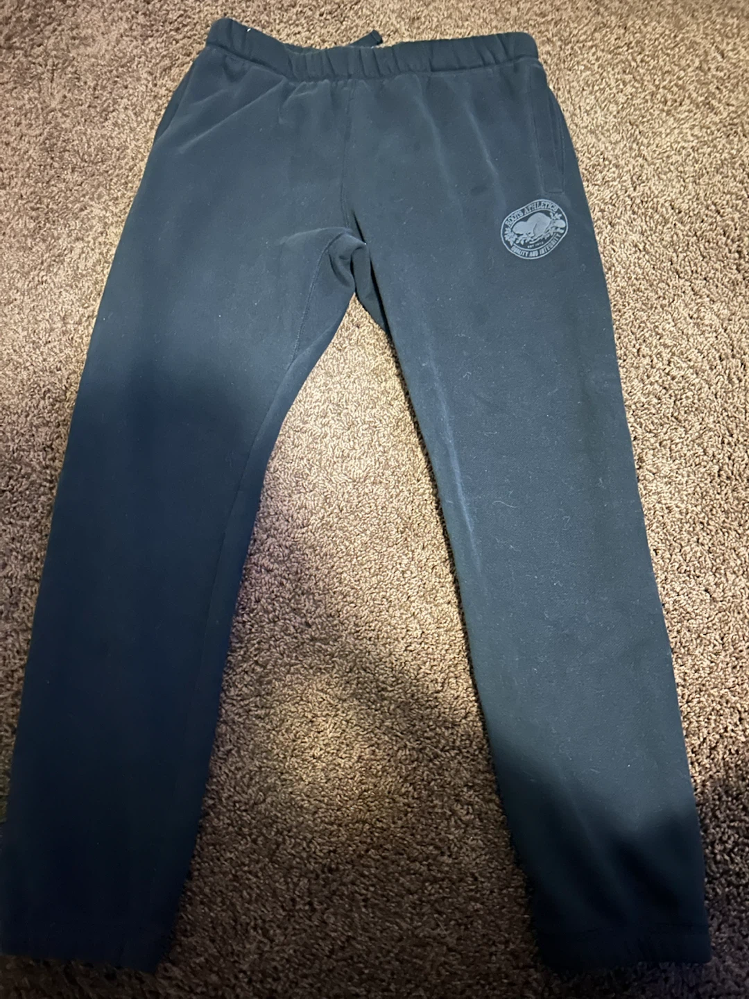 Roots Athletics Hoodie and Sweatpants Set - photo 3