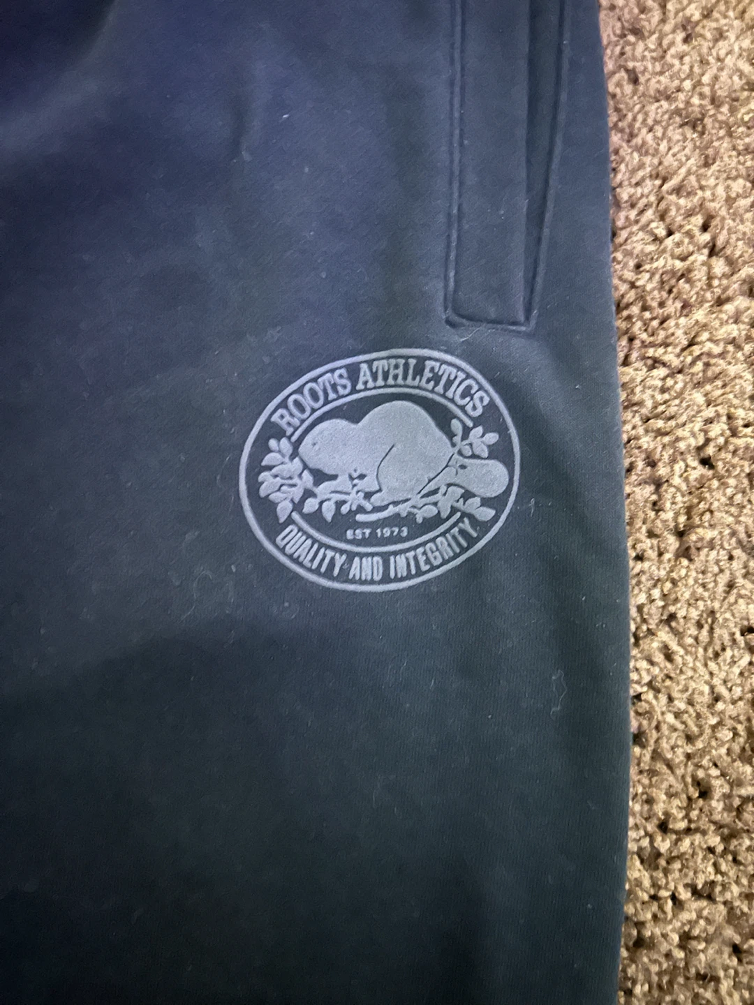Roots Athletics Hoodie and Sweatpants Set - photo 4