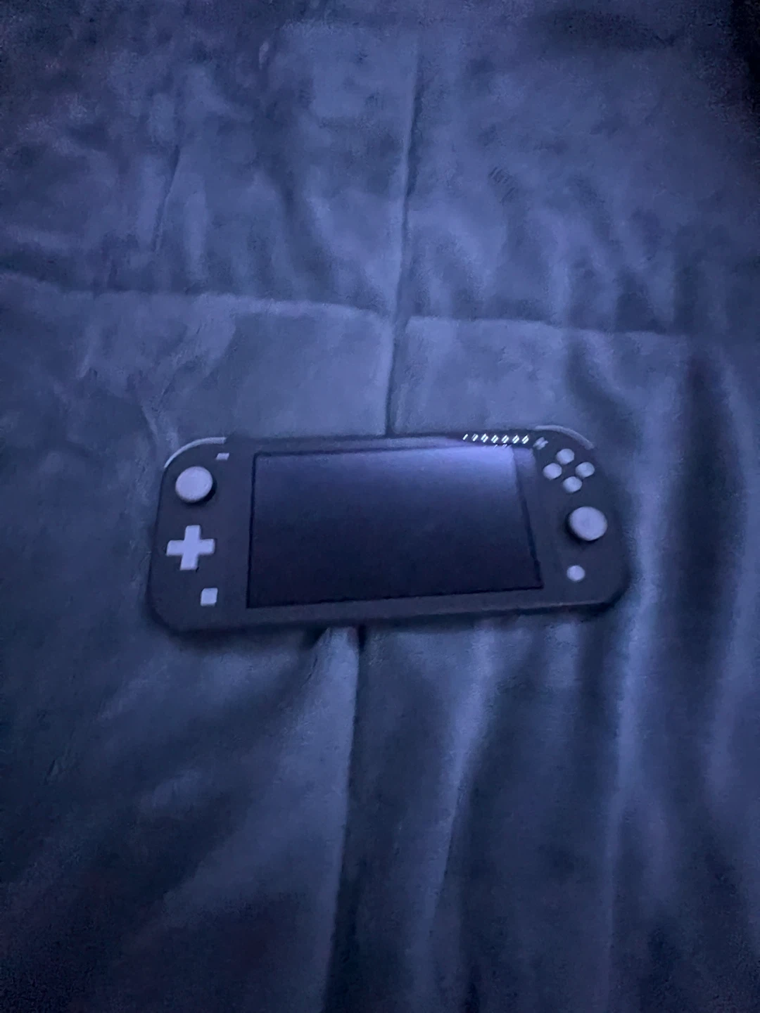 Nintendo Switch Lite - Gray