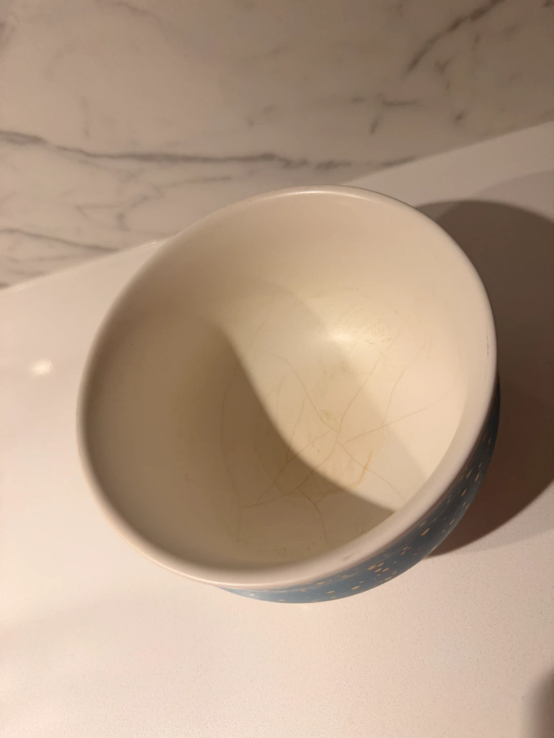DAVIDsTEA Ceramic Bowl - Blue Speckled - photo 3