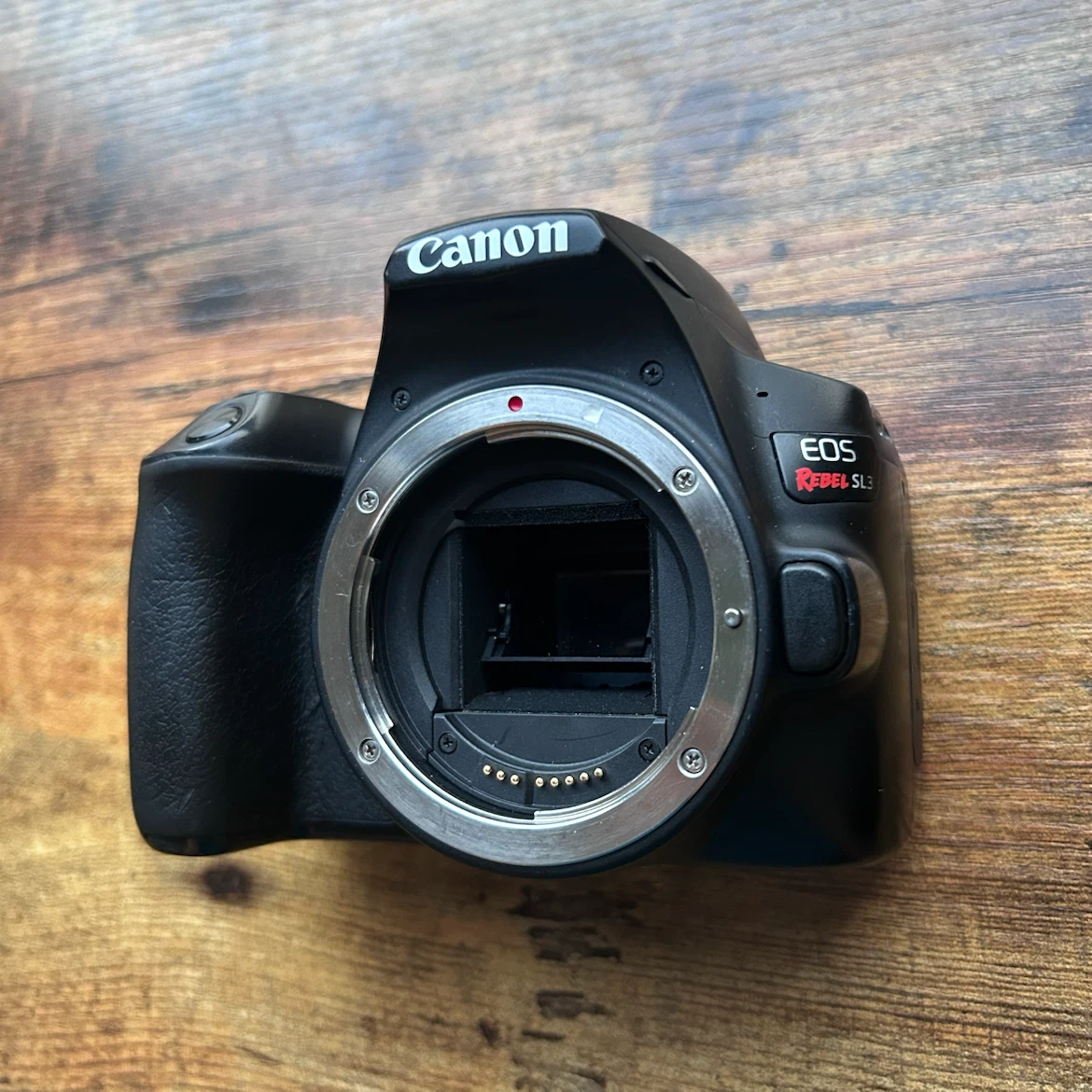 Canon SL3 w/ 18-55mm Lens and 75-300mm Lens - photo 2