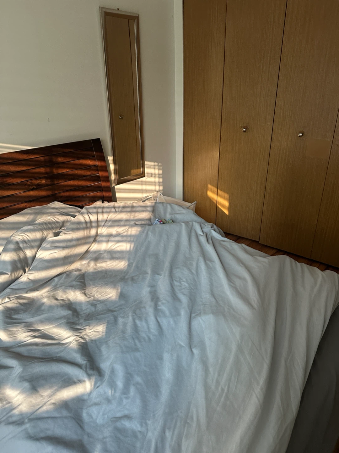 Fully Furnished 3 Bed 1 Bath Condo near Robson St - photo 2