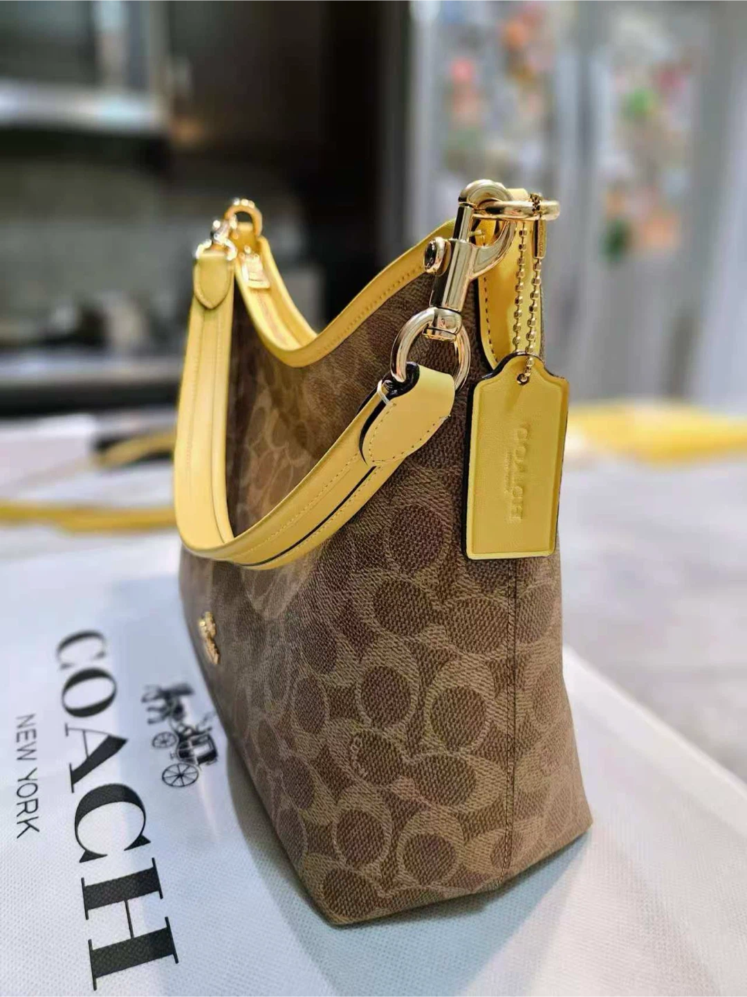 Coach Hobo Bag - NEED TO SELL EVERYTHING - photo 2