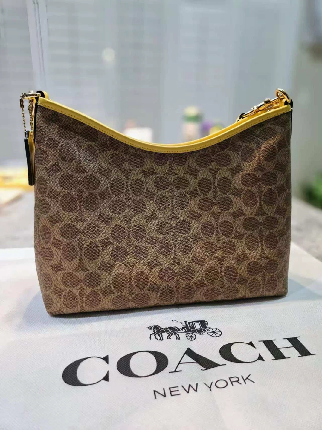 Coach Hobo Bag - NEED TO SELL EVERYTHING - photo 4