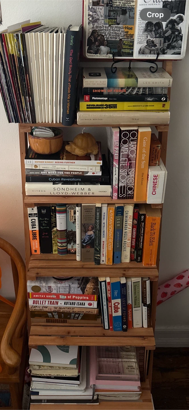 5-Tier Wooden Ladder Shelf