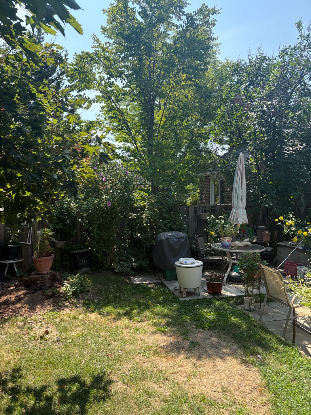 Room for Rent Brampton - photo 4