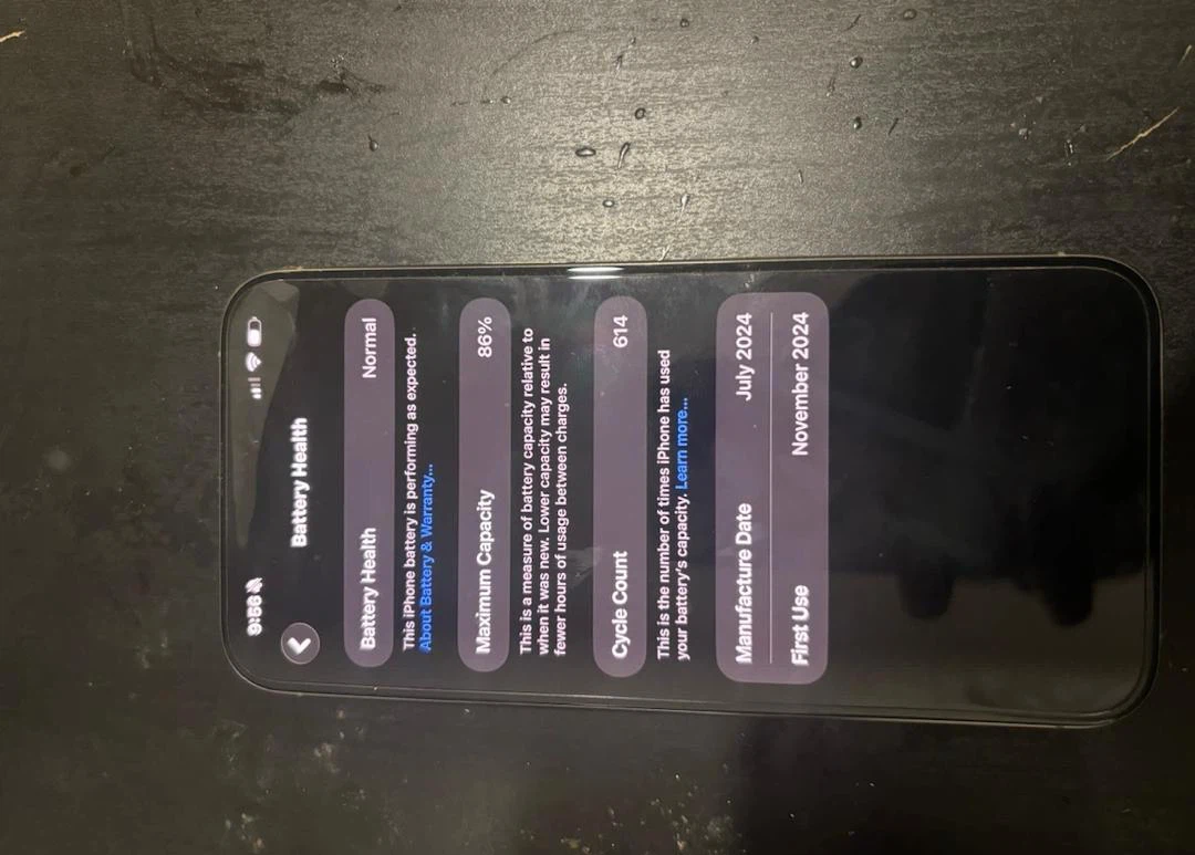 Apple iPhone 15 Pro Max 256 GB - photo 4