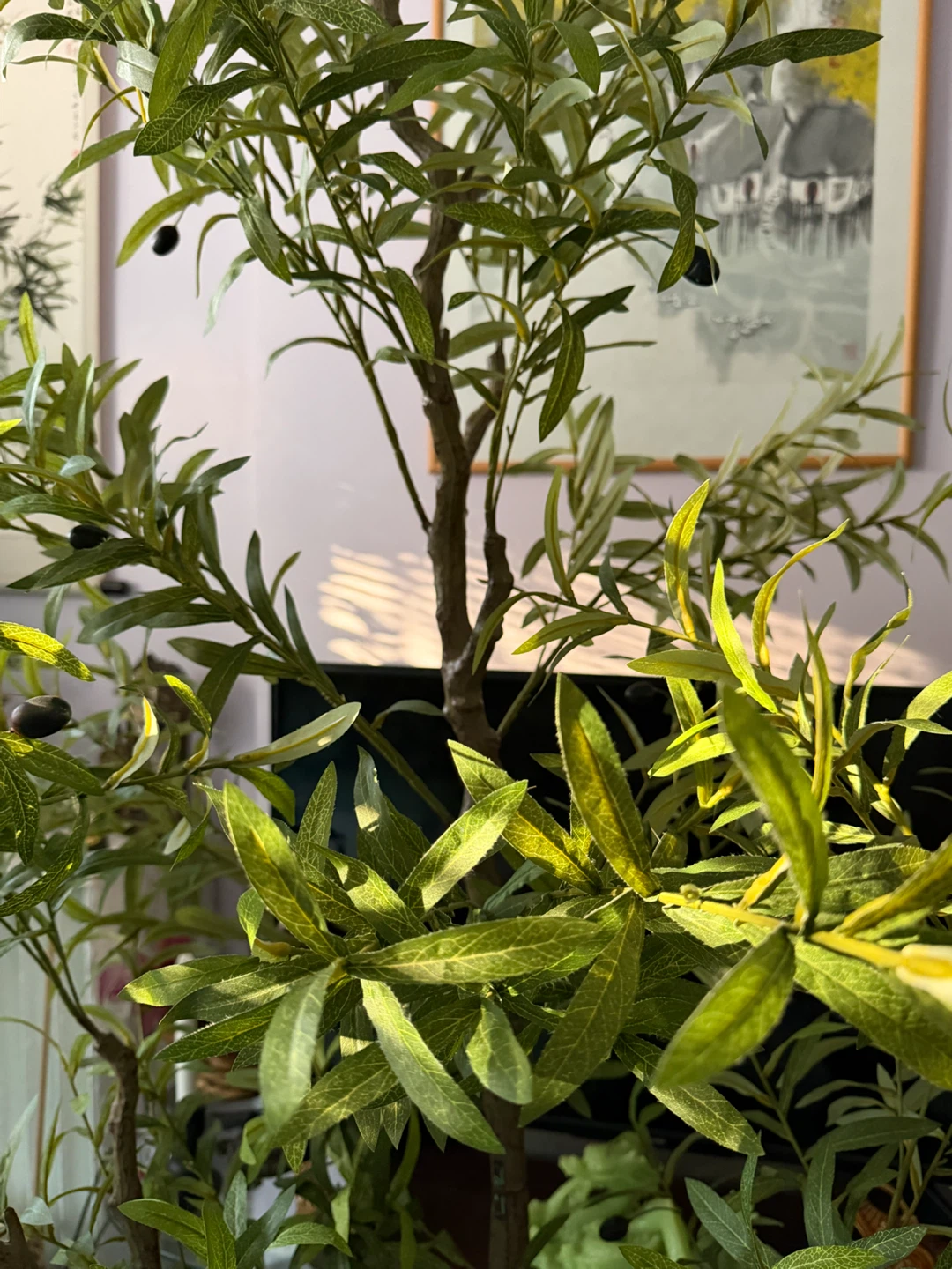 7ft beautiful Artificial Olive Tree in Basket - photo 5
