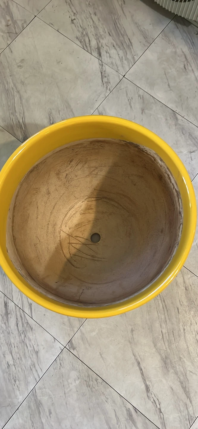 Yellow Ceramic Planter Pot - photo 2