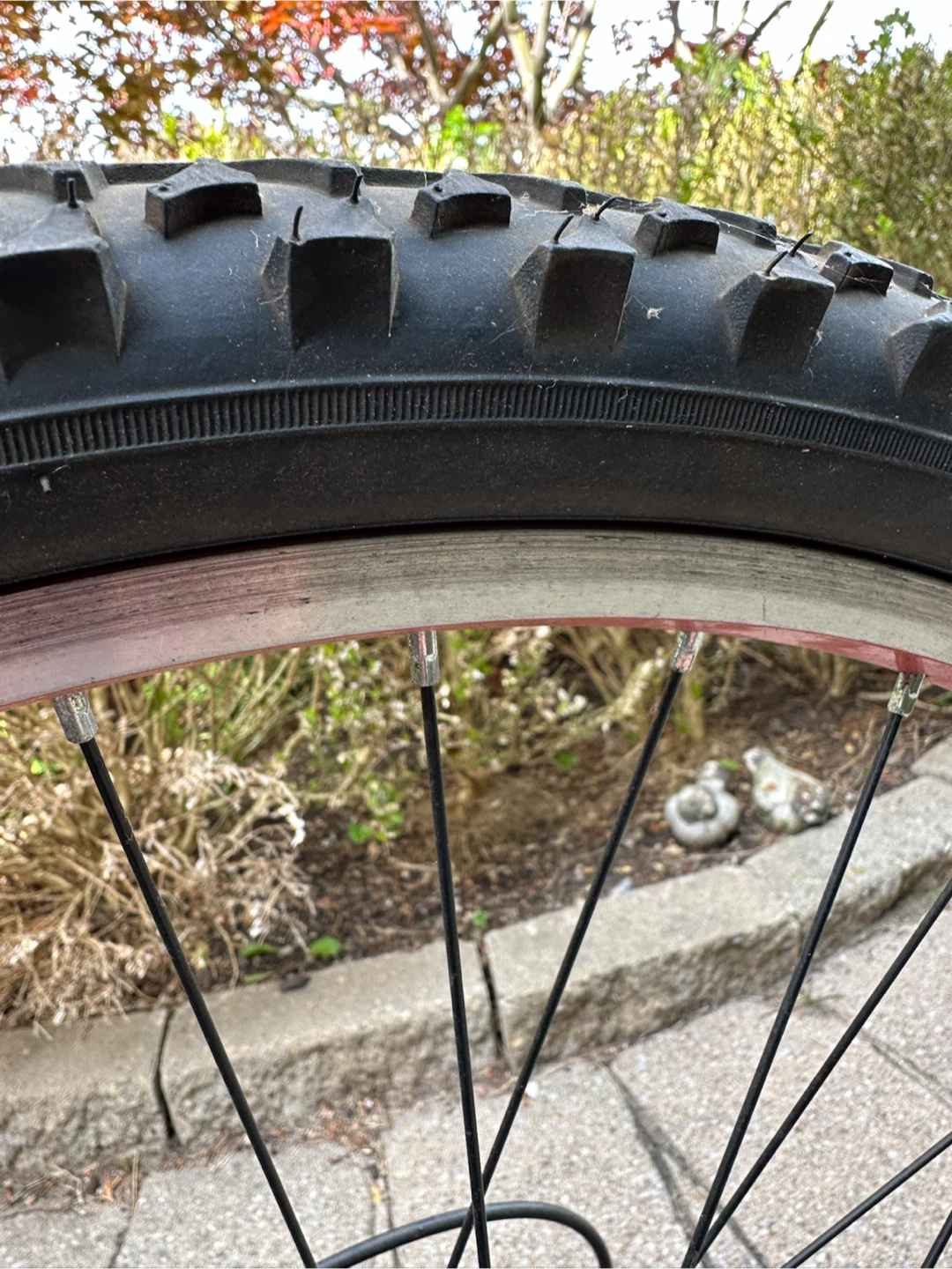Schwinn Mountain Bike - photo 3