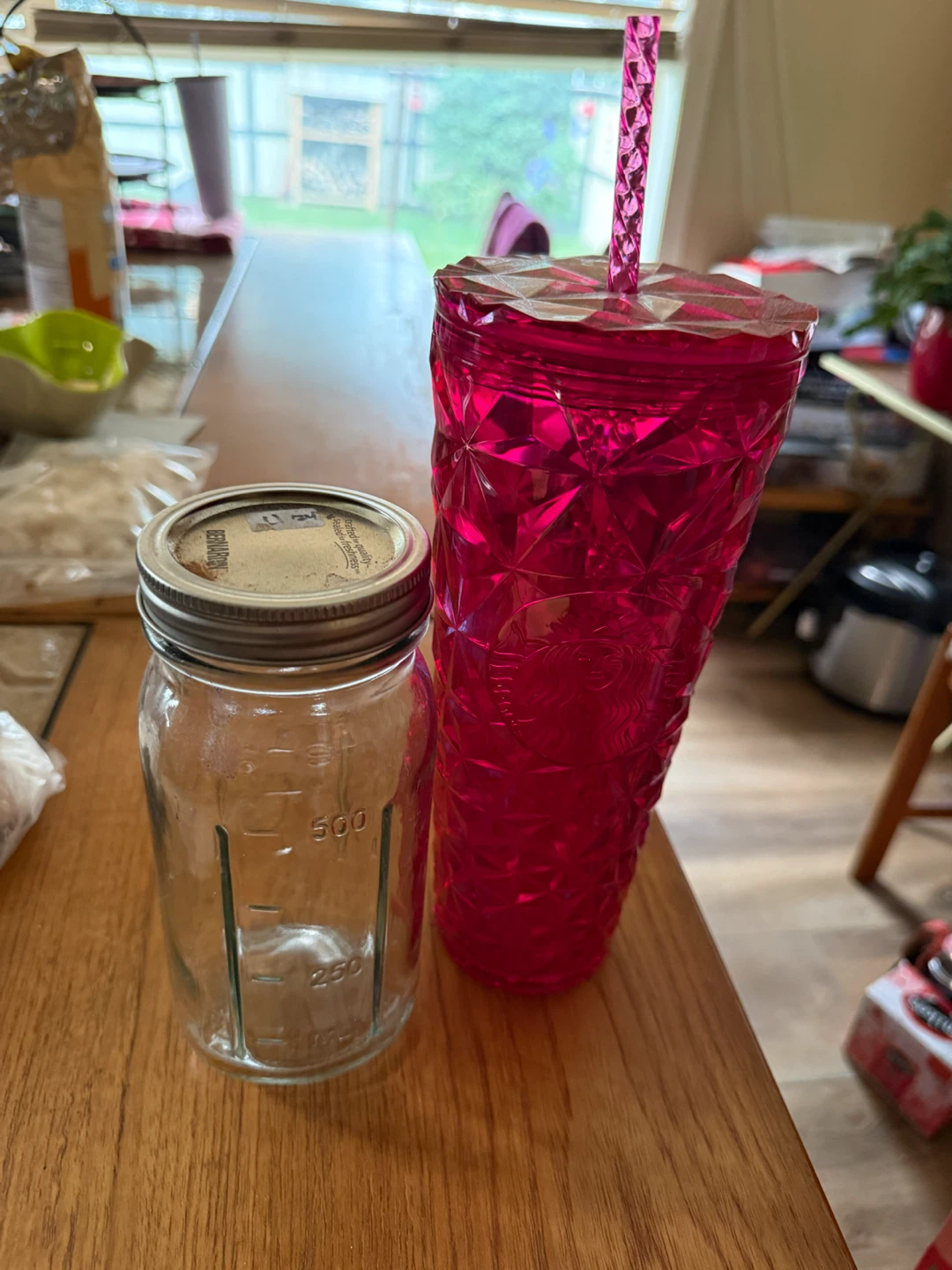 Starbucks Tumbler with Lid and Straw