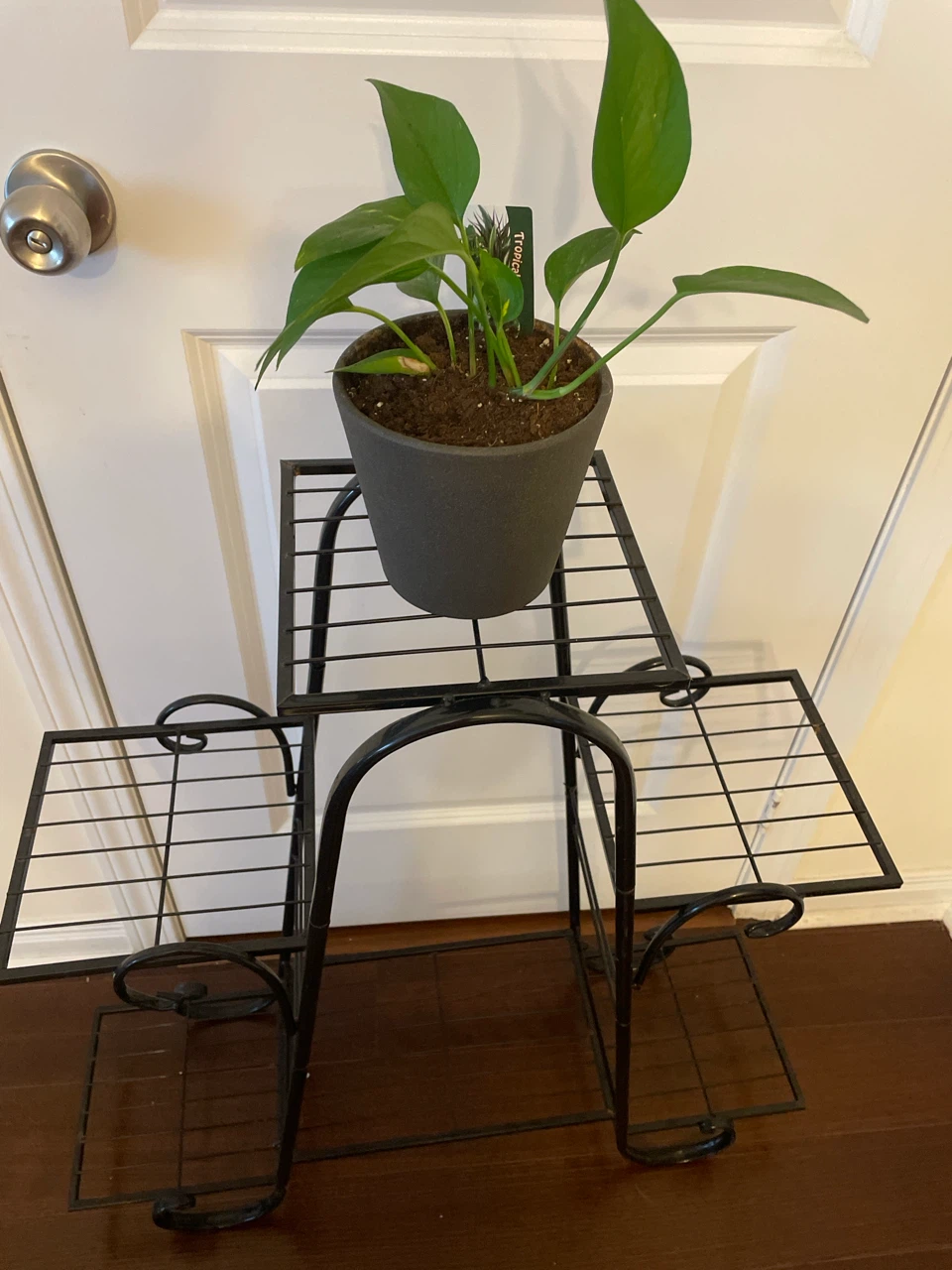 Black Metal Plant Stand with 4 Tiers - photo 2
