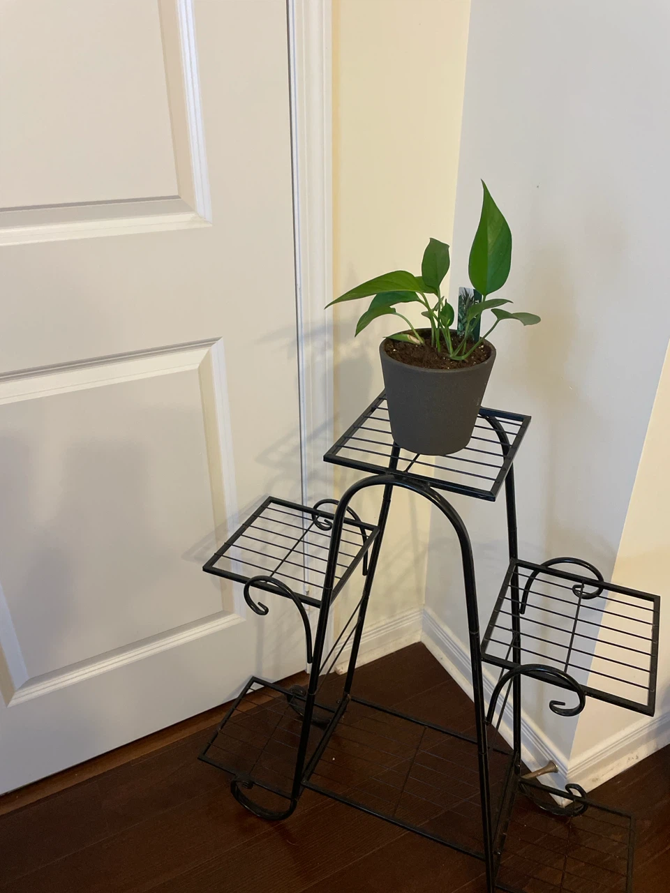 Black Metal Plant Stand with 4 Tiers - photo 3