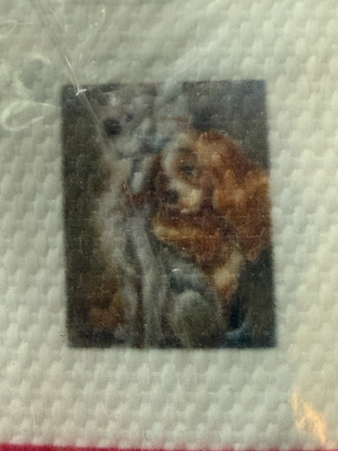 Lady and the Tranp Diamond Art Kit - photo 2