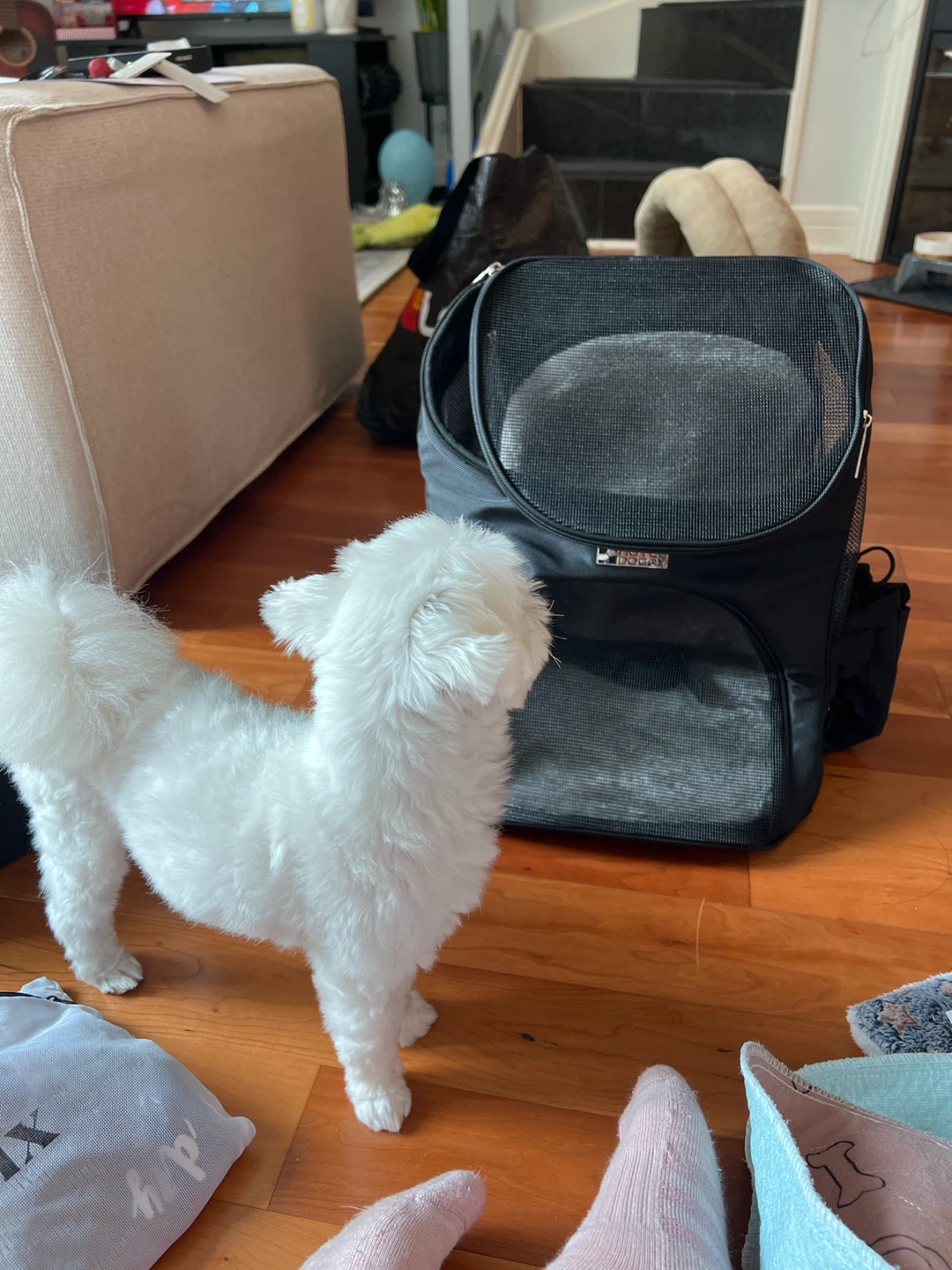 NEW UNUSED Hotel Doggy Pet Carrier Backpack - photo 3
