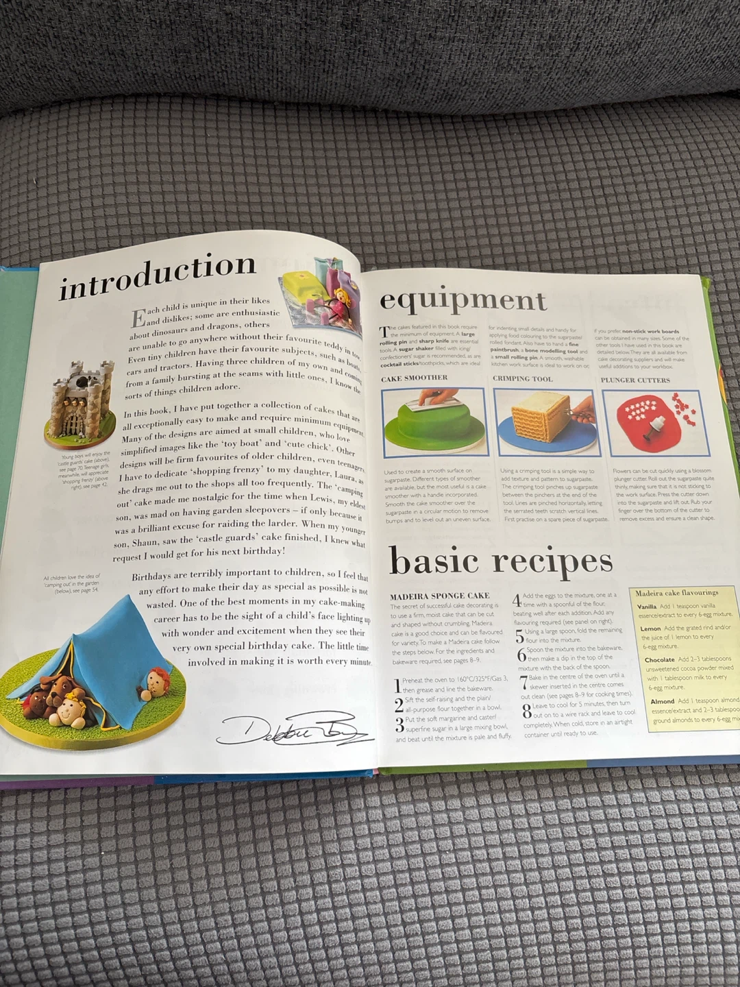 Debbie Brown's 50 Easy Party Cakes Book - photo 3