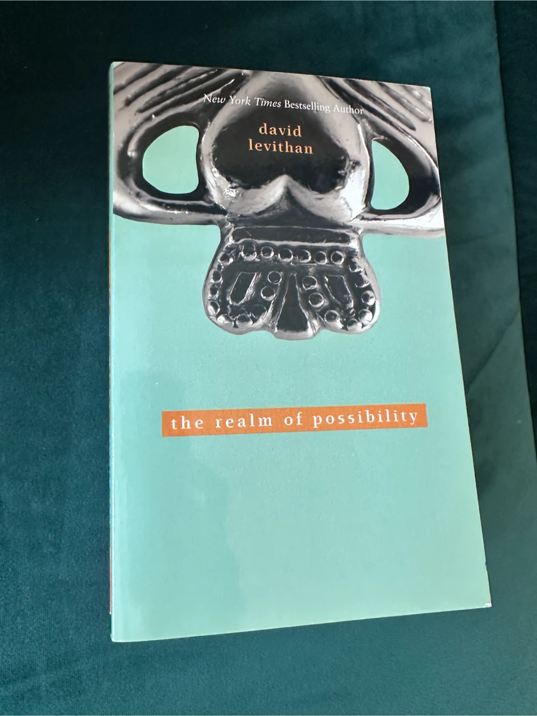 The Realm of Possibility by David Levithan