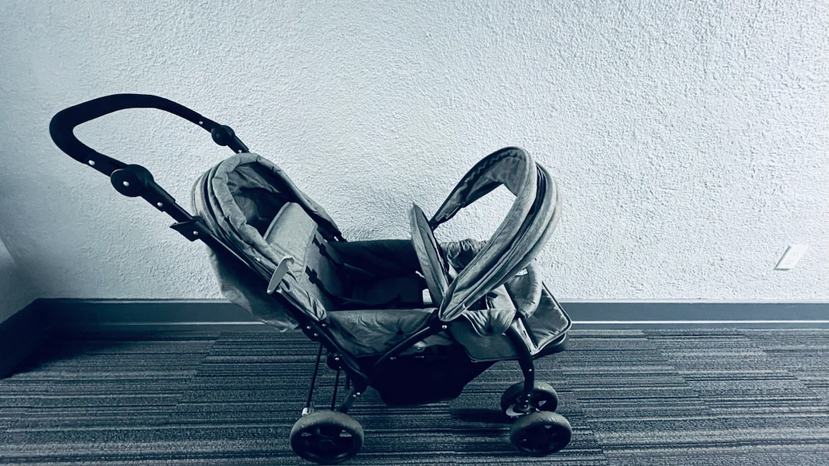 Babyjoy Twin Stroller - photo 3