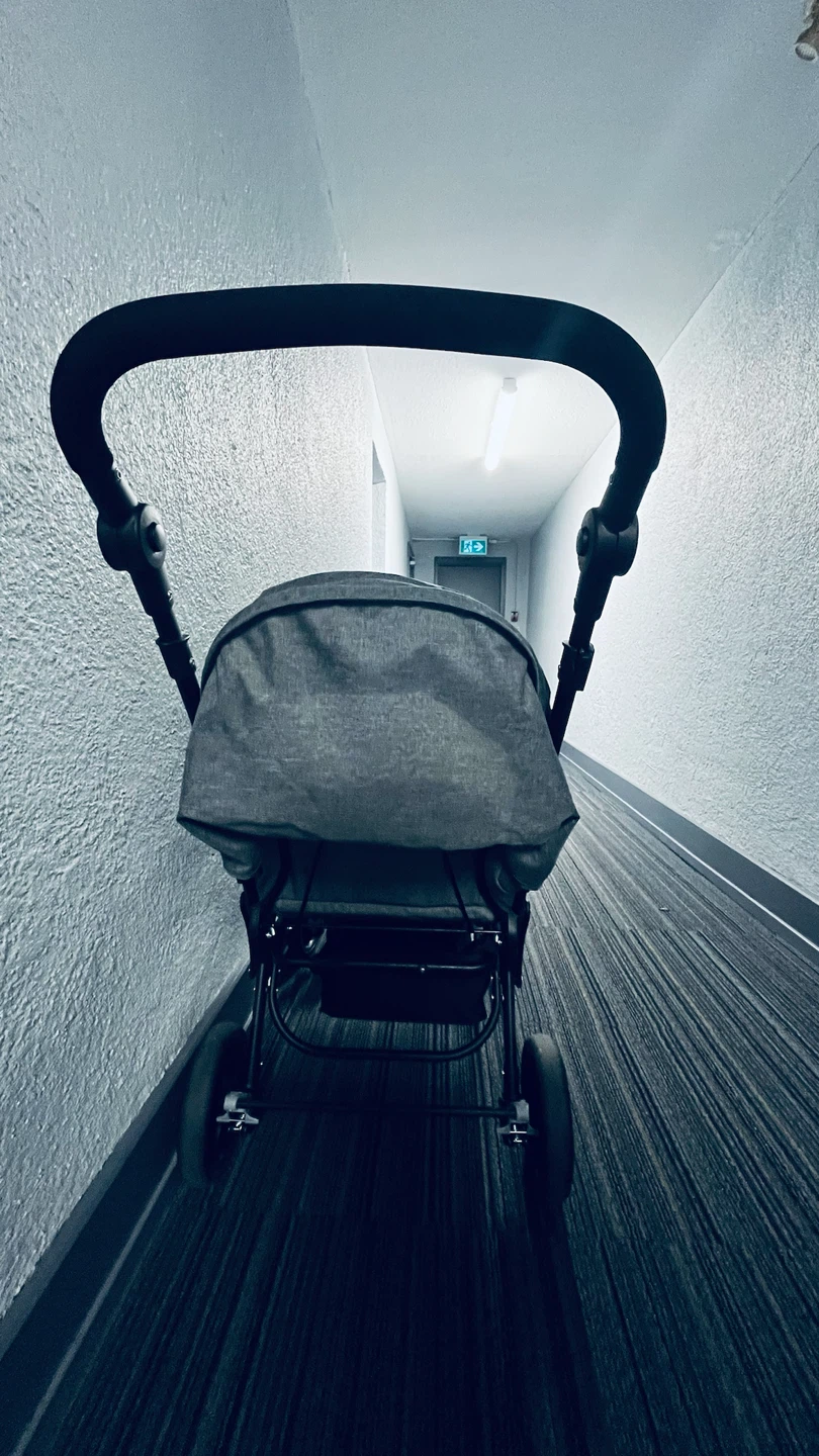 Babyjoy Twin Stroller - photo 5