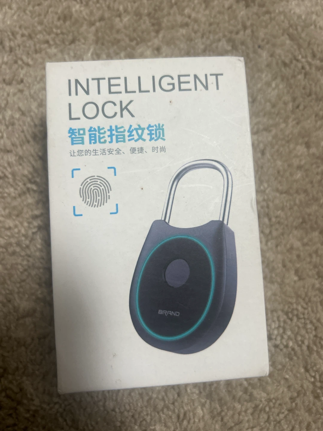 Intelligent Lock