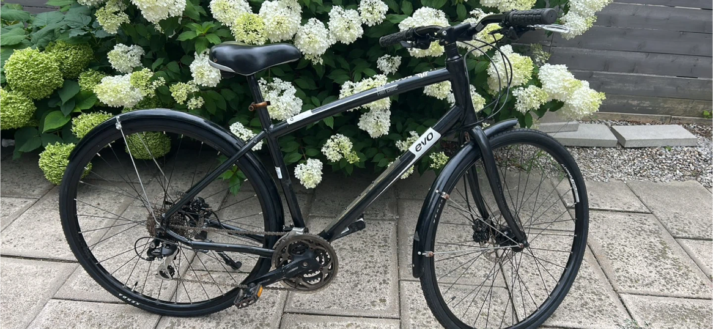 Evo Hybrid Bike - $250 - East York