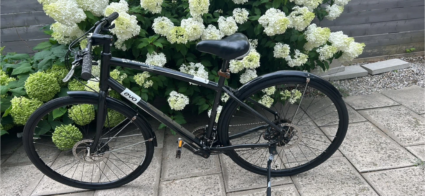 Evo Hybrid Bike - $250 - East York - photo 2