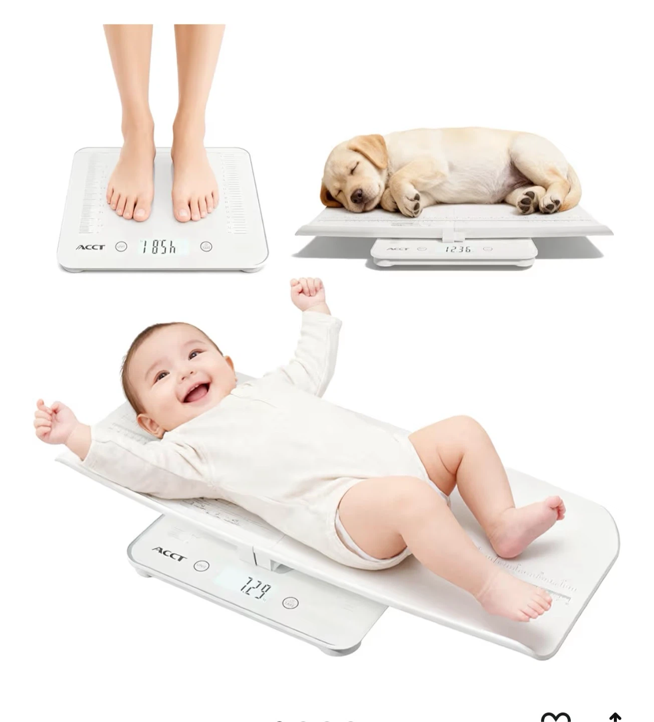ACCT Multi-Purpose Weighing Scale