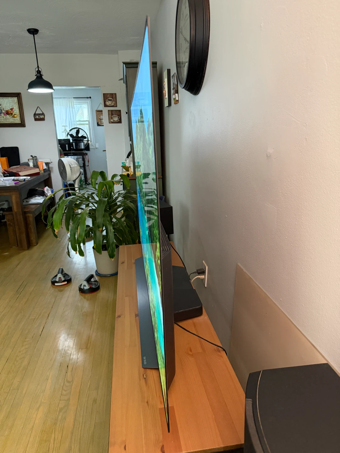 Lg Oled 65 In + TV stand+ Bose 301 Series V Speakers - photo 3