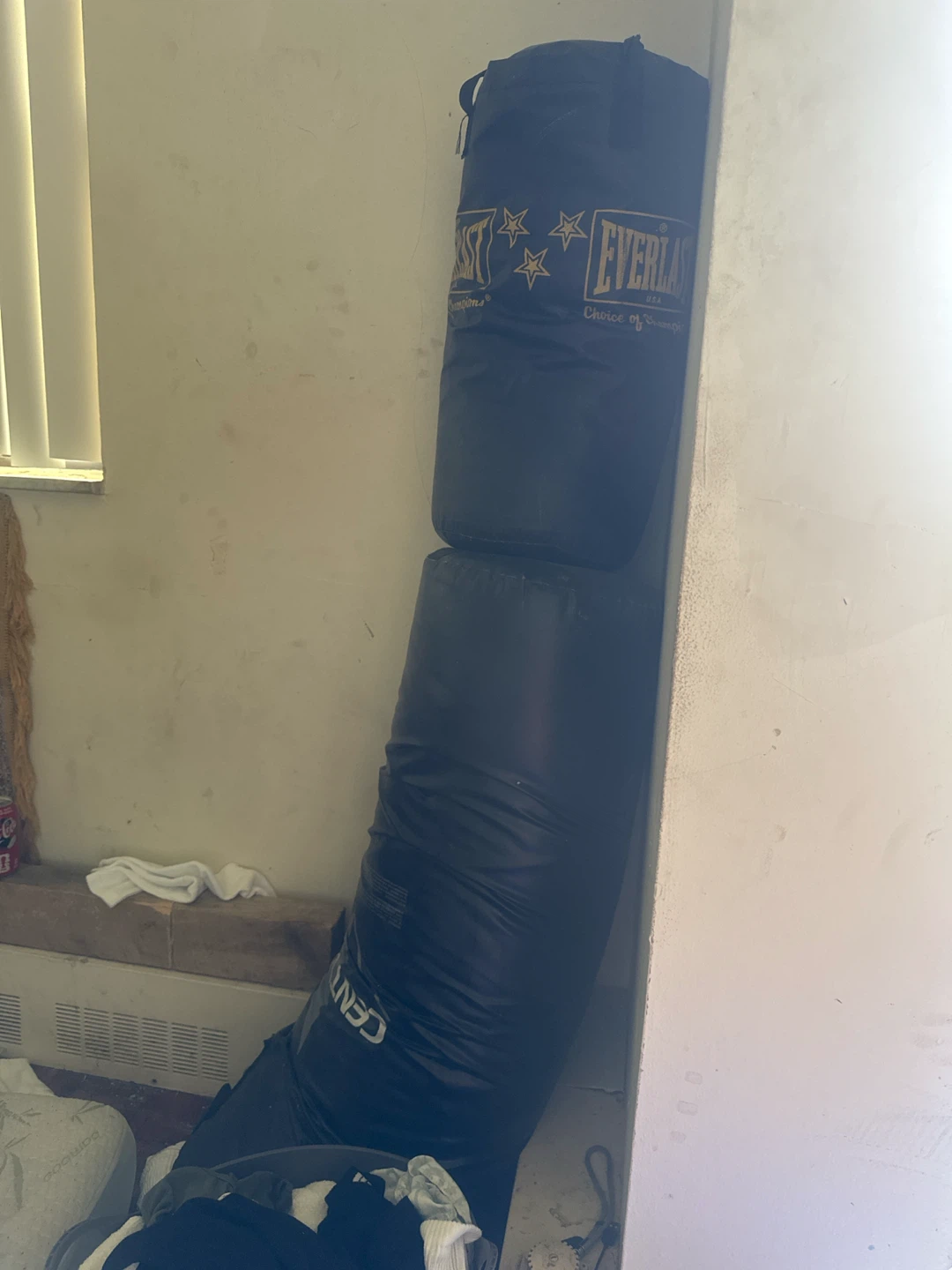 Everlast Punching Bag