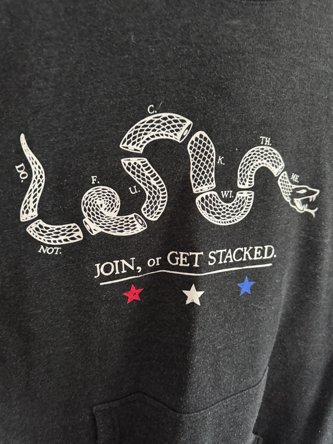 Black Snake Graphic Hoodie – “JOIN, or GET STACKED.”  LARGE - photo 4