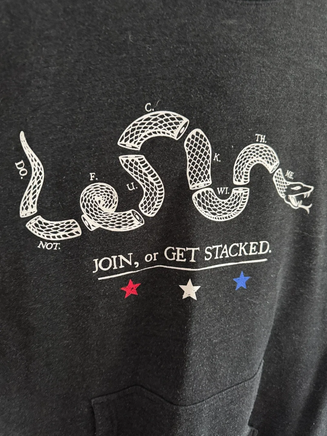 Black Snake Graphic Hoodie – “JOIN, or GET STACKED.”  LARGE - photo 4