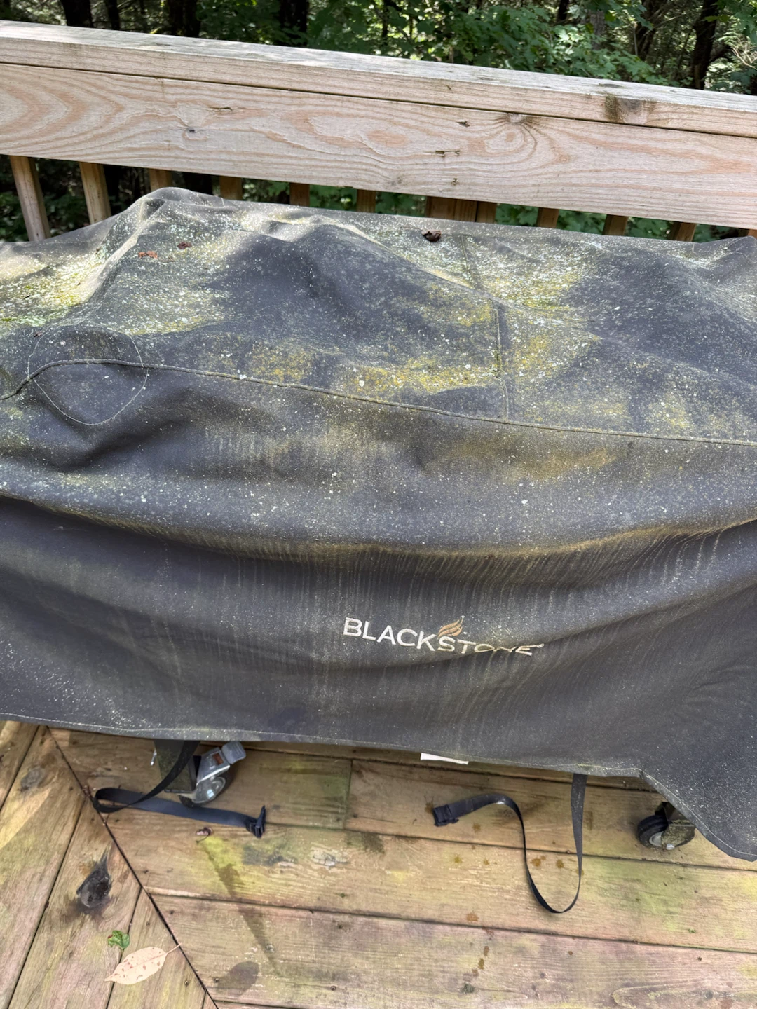 Blackstone Griddle