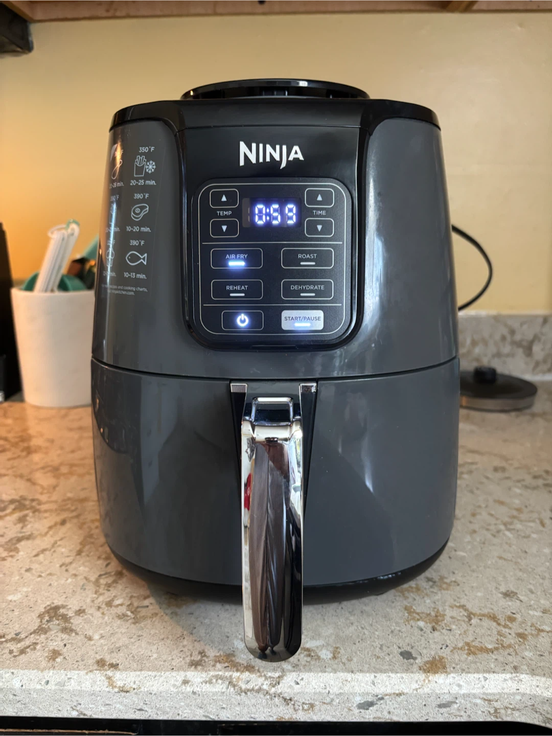 Ninja Air Fryer