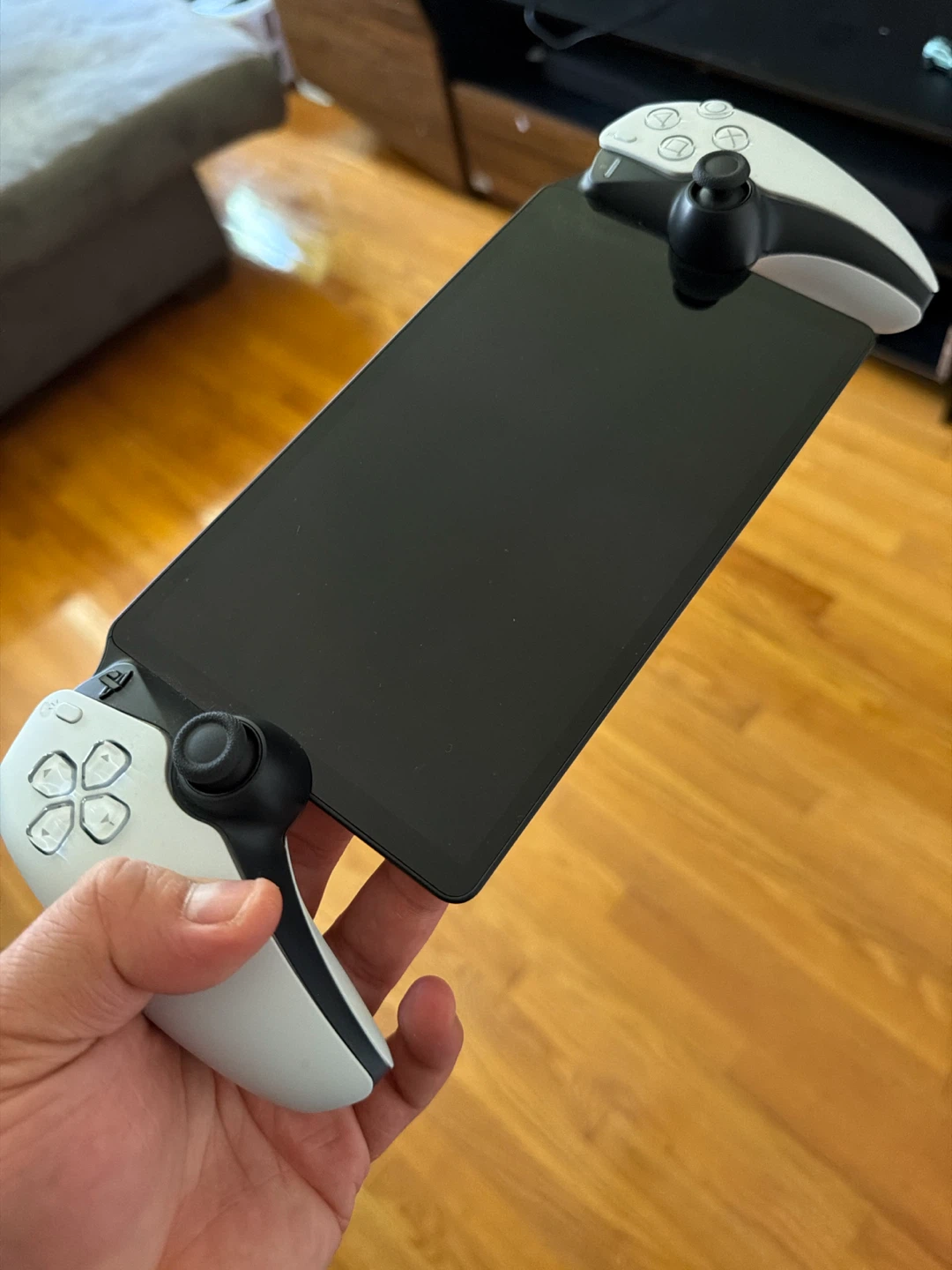 Sony PlayStation portal