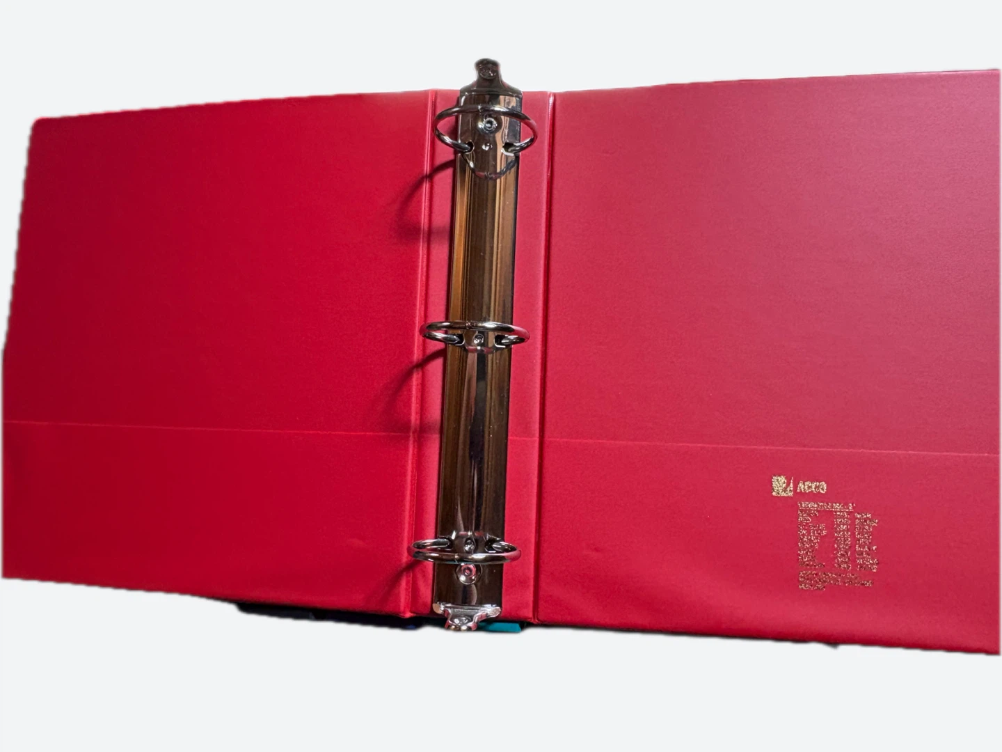 10 Assorted 3-Ring Binders - photo 5