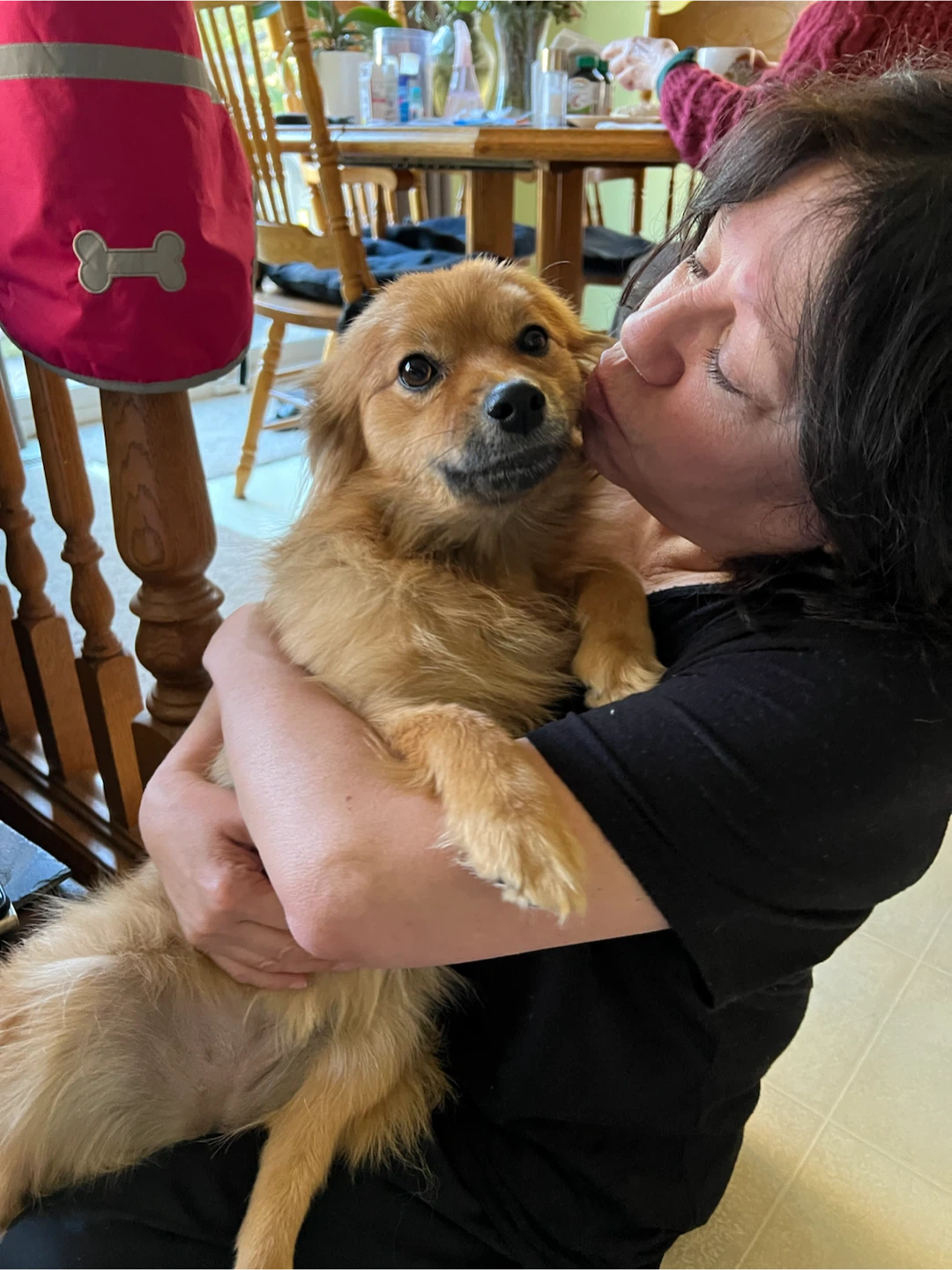 Experienced Dog Walker & Pet Sitter - photo 3