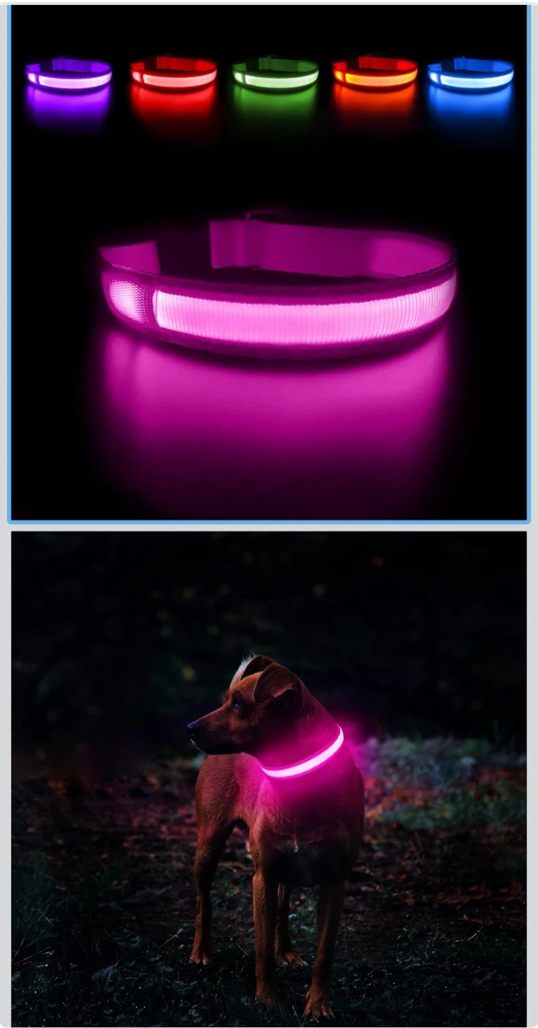 MASBRILL LED Light Up Dog Collar - Pink - photo 3