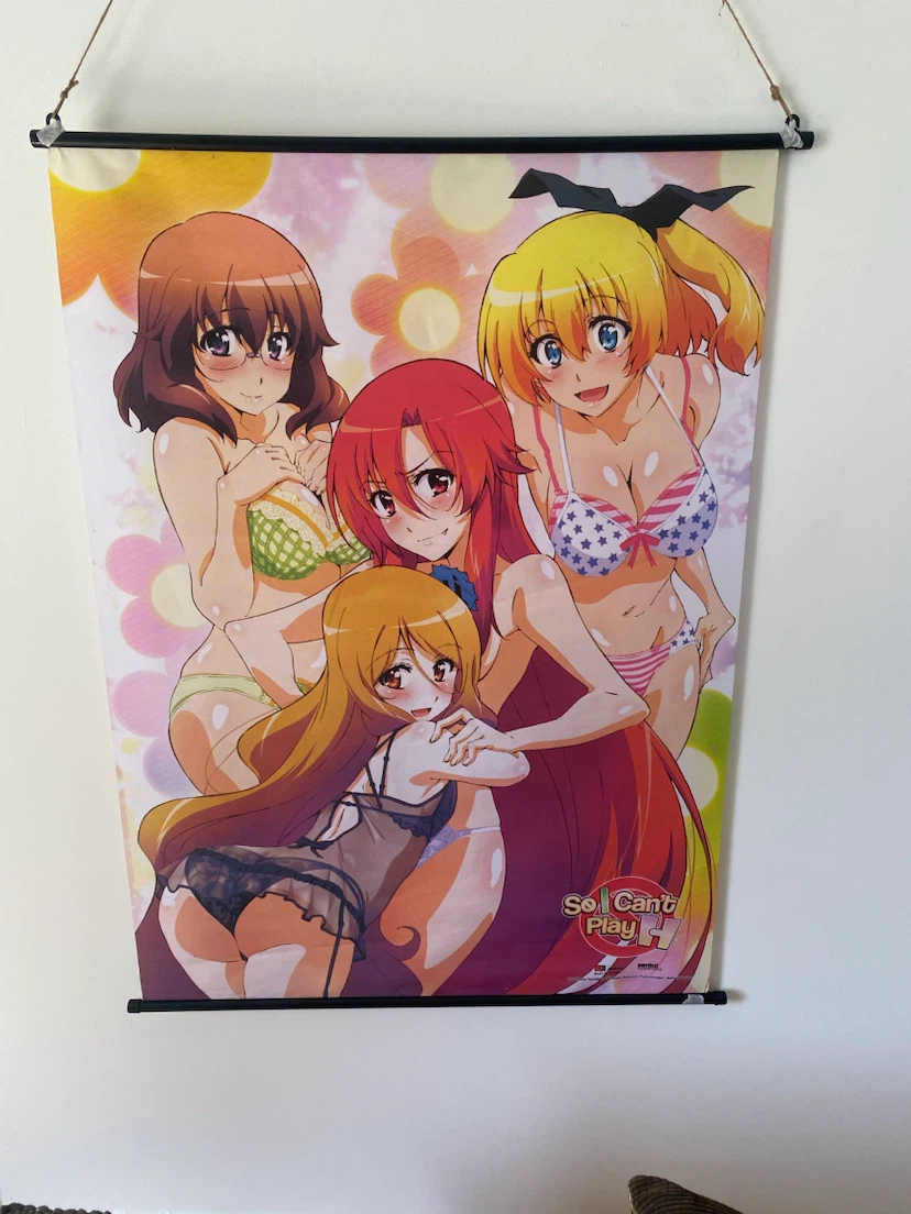 Anime fabric wall scrolls/hanging, assorted starting at $15 - photo 2