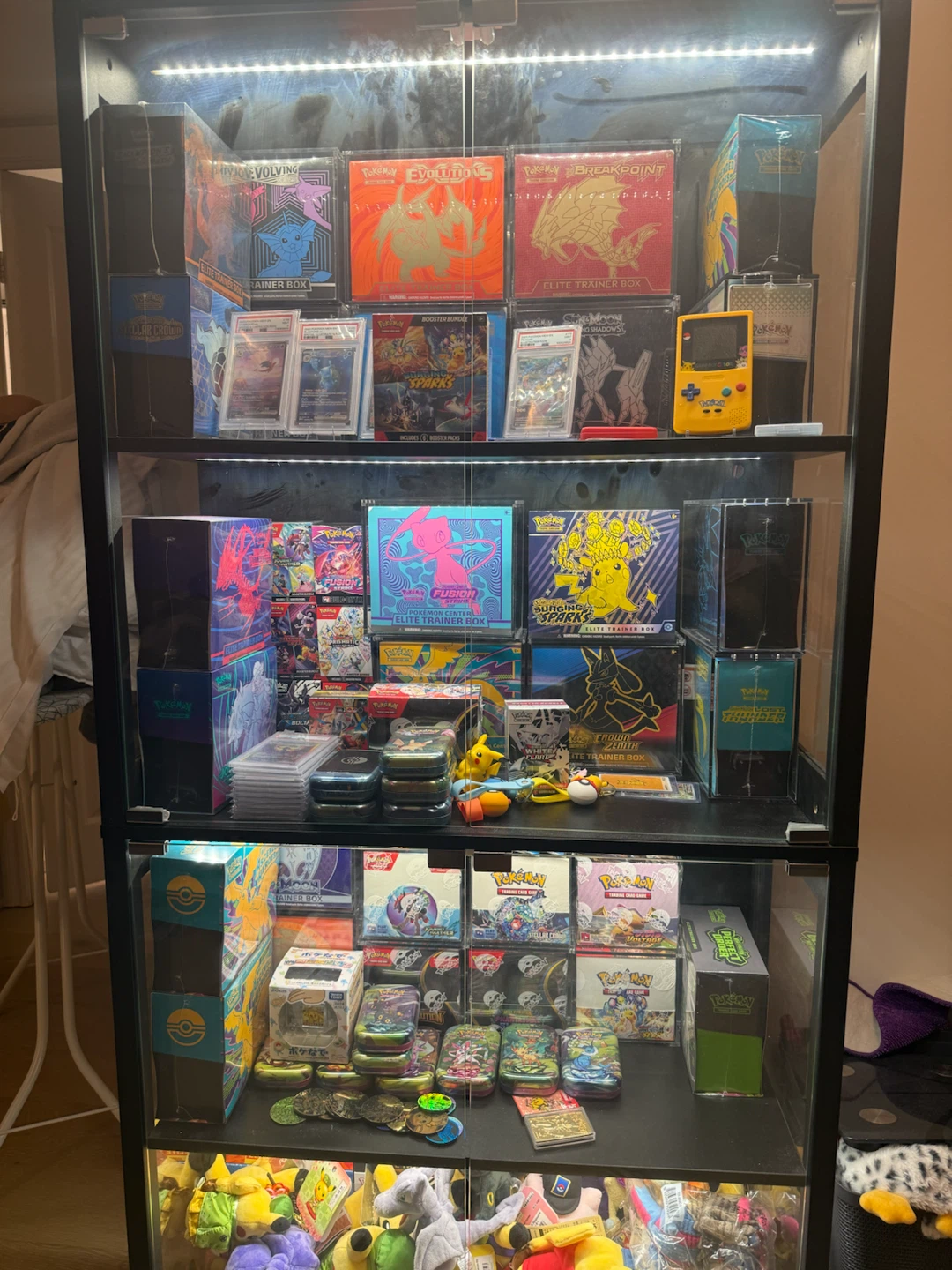 Pokemon Sealed Collection