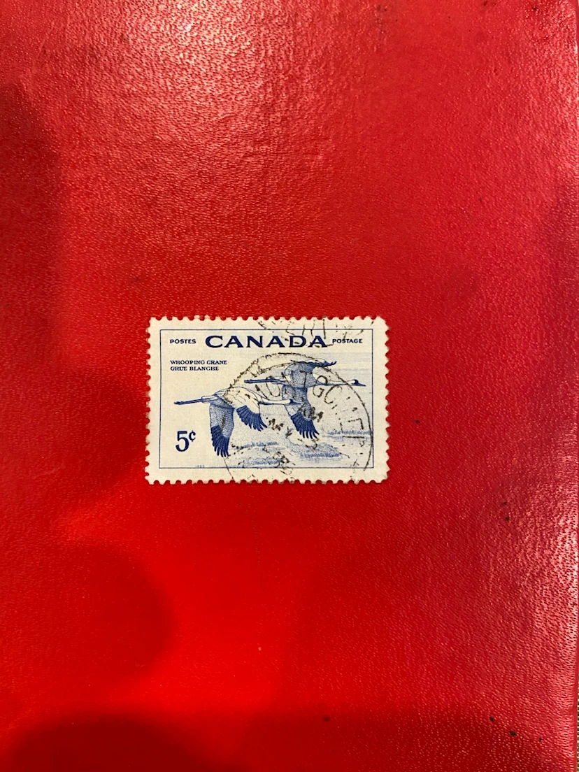 Canada Postage Stamp - Whooping Crane