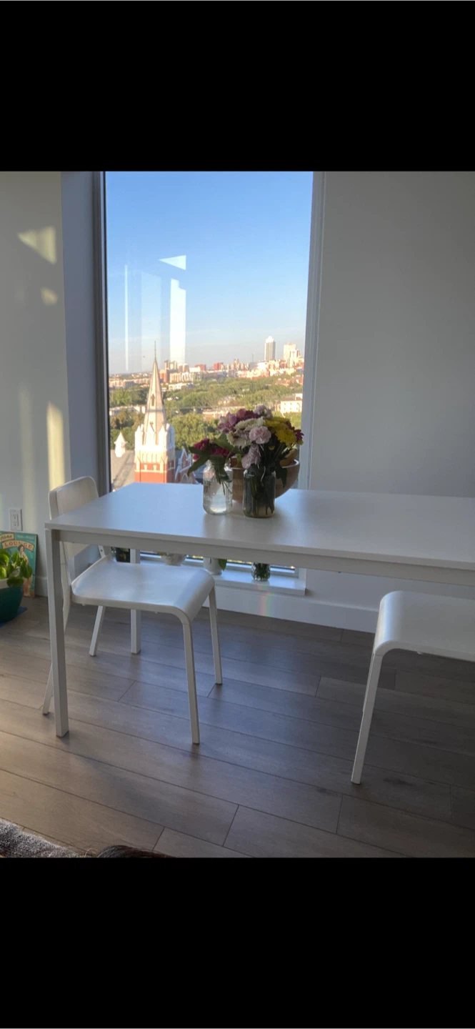 Bundle IKEA TEODORES Chairs (Set of 2) & TABLE VIHALS - photo 2