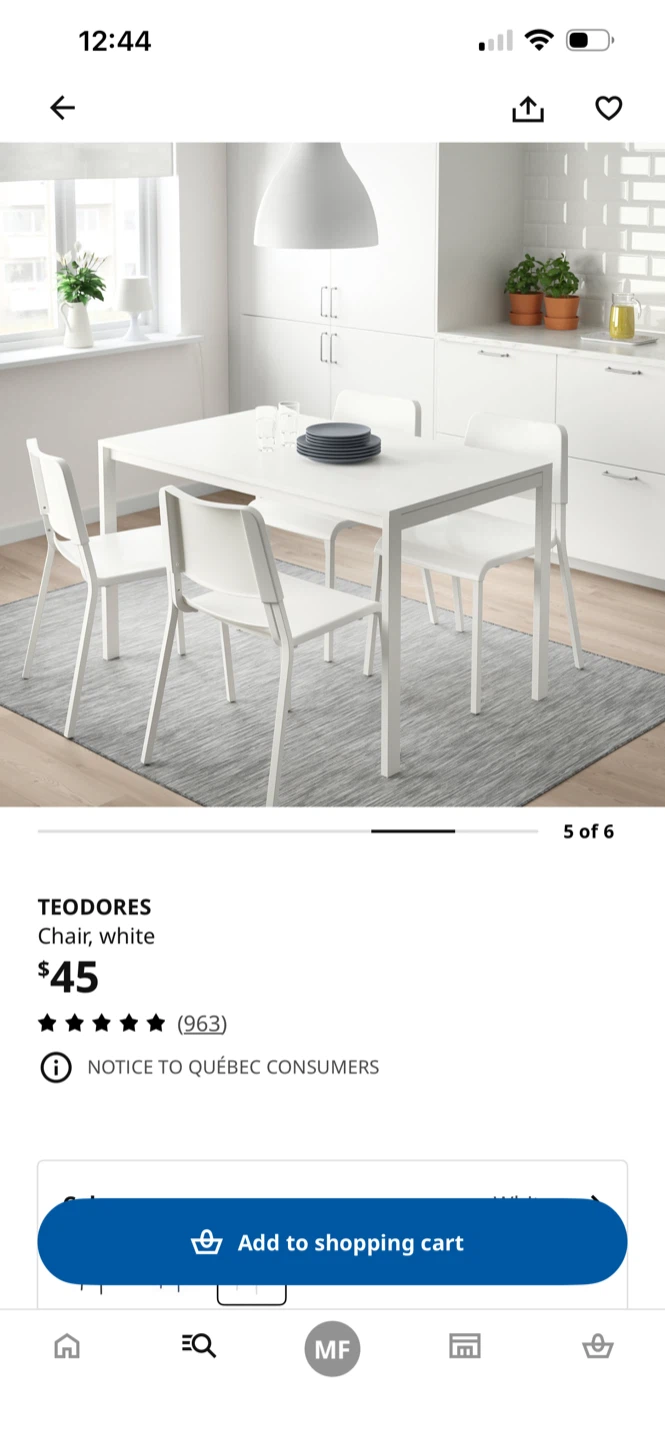 Bundle IKEA TEODORES Chairs (Set of 2) & TABLE VIHALS - photo 5