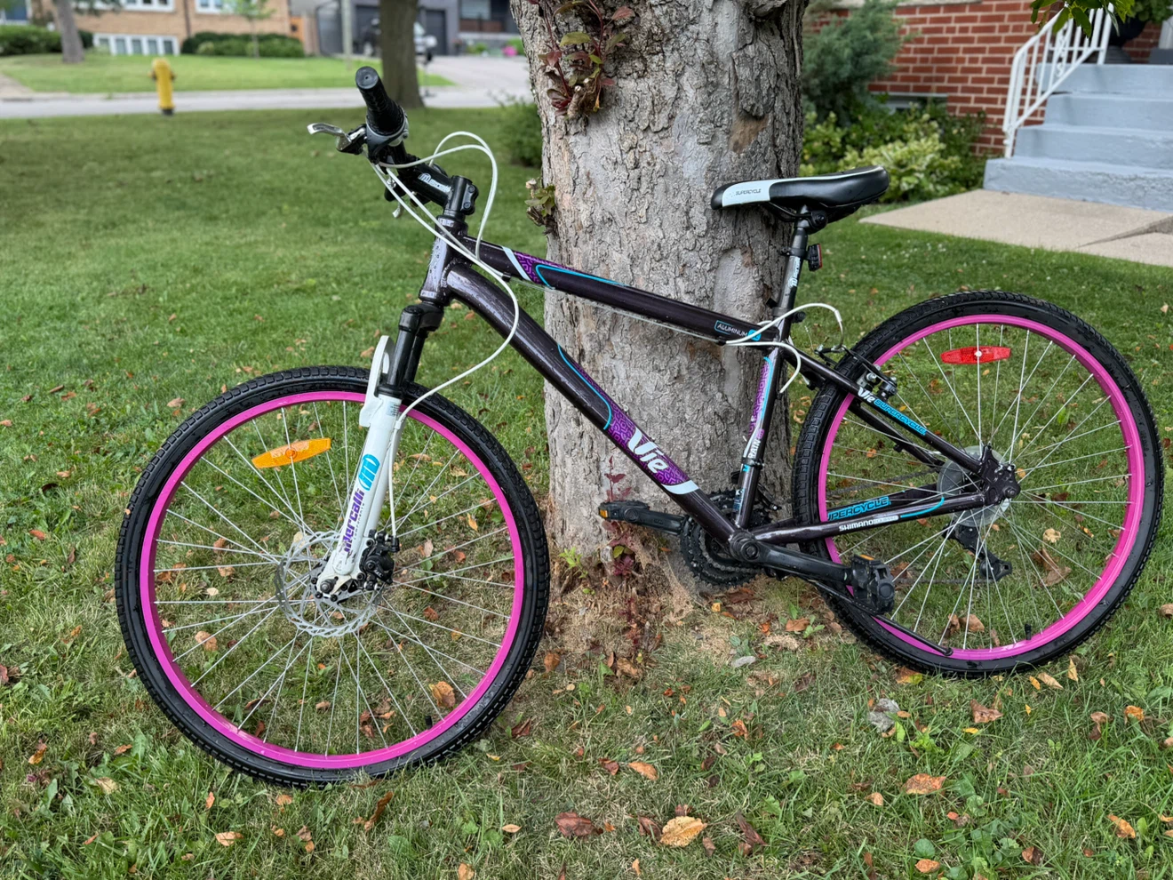 Vie Mountain Bike with Pink Rims