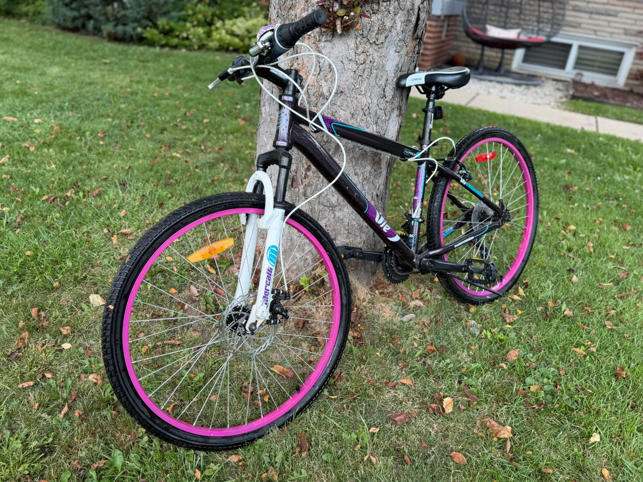 Vie Mountain Bike with Pink Rims - photo 2