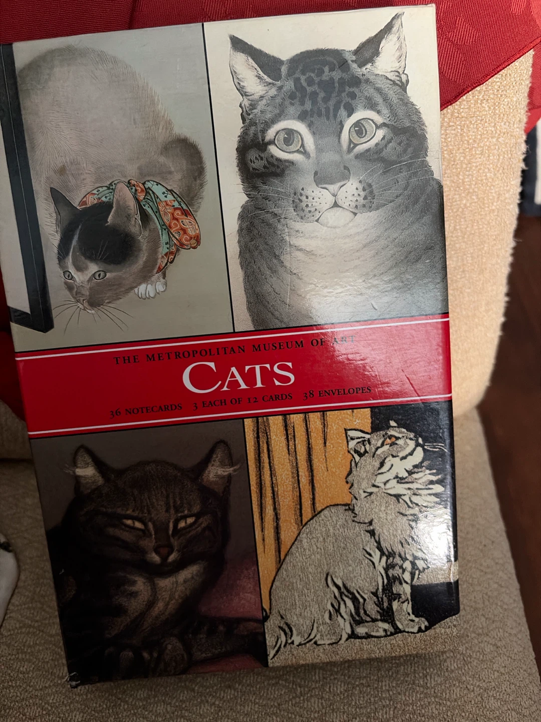 The Metropolitan Museum of Art Cats Notecards